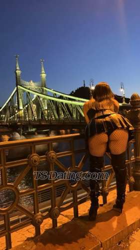 trans girl Laurahamishe 0834128