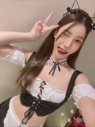 trans girl LiLinda 2503489