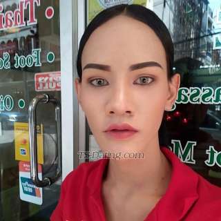 trans girl Lincybkk159 1110512