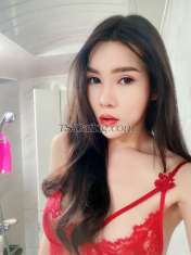 Linglingpung Bangkok Transex Hi i am Ts Dutdao. I come from Bangkok Thailand                                                                                            I'm 26 years old.168cm, 55kg, smooth all over and curvy body.                                                     I'm in Singapore now💖                                                                                                   stay@ private Hotel 100%.                                                                                                   My Real Photos.                                                                                                               My Service Fully Functional, 6' OWO, TOP-BOTTOM, Versatile.                                                        I am good people and polite .Versatile. Alot CUM💦. InCall $ 200/H.OutCall $ 400
if you want great experience contact me. 
Line id: dutdao_89
Wechat id: kwaiine88



                                                                                                                  