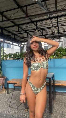 trans girl LittleCarla 2871780