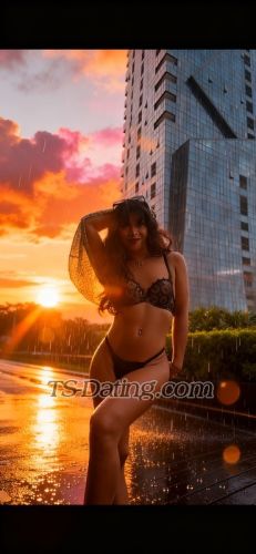 trans girl LittleCarla 4258894