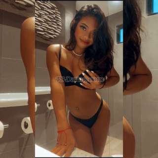 trans girl LittleCarla 8211334