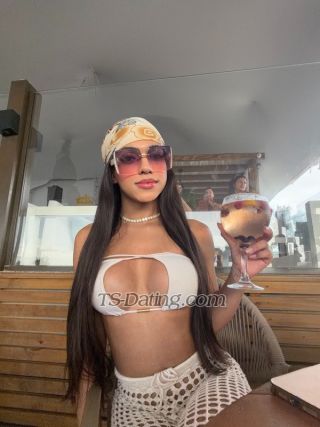 trans girl Livs4562 5257799 trans girl Livs4562 5257799