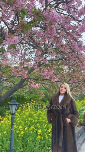 trans girl LoveNatasha 9674271 trans girl LoveNatasha 9674271