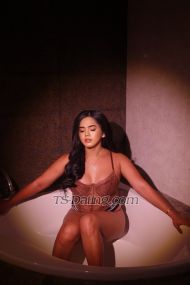LovelyJhasly Bangkok Transex Hello everyone allowed me to introduce my self im LovelyJhasly 27 years old from the land of beautiful people
Spain/Filipina ,  and i am ready to give you a satisfaction and fulfill your fantasies ,  I’m here to give you a best time and unforgettable experience with me , 

The reason why you choose me : 
First of all i am clean 100% , from the body , soul and the blood ✅ secondly i am versatile functional TS  , i can be top and bottom in bed and can give the best experience that you are wanted for  , and lastly i can extend my capabilities just let me know what you want and ill try my best to fulfill your Fantasies . .  



For inquires please do leave me a message below  👇🏼👇🏼👇🏼
So what are you waiting for ? Book now ,  Sms/Call4

Line:lovelyjhasly27