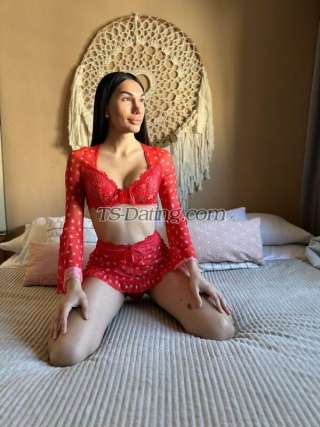 trans girl LuzC 4147646