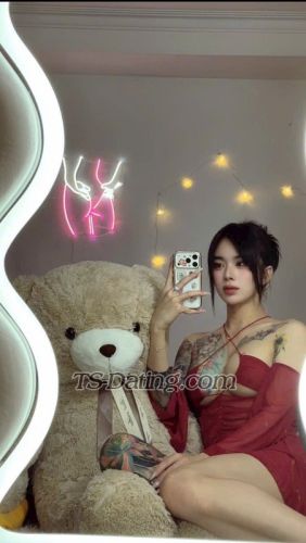 trans girl Lylypham99 1463053