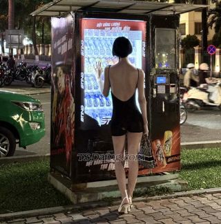 trans girl ladyboyhot11 0737988
