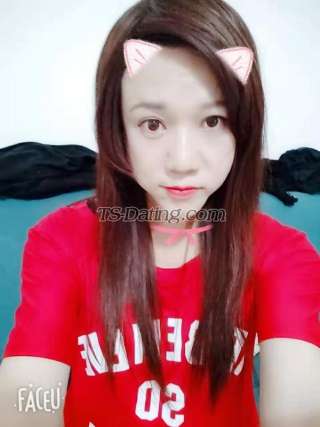 trans girl ladyboylili 1078516