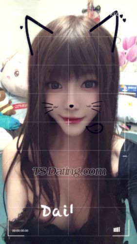 trans girl ladyboyyani 7773885 trans girl ladyboyyani 7773885