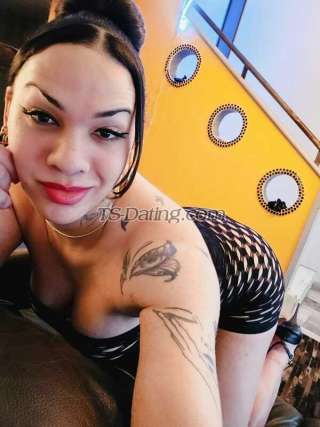 trans girl laysarodrigu 0688895