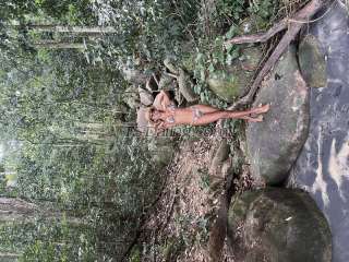 trans girl leticiamilk 8278945