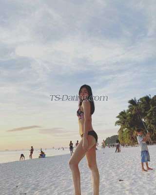 trans girl lianlee24 7452754