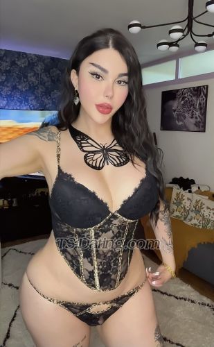 trans girl lilidiva 4640597 trans girl lilidiva 4640597