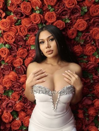 trans girl lovebites 3395516