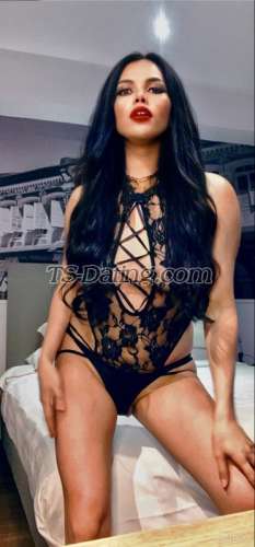 trans girl lovelyketch 4513205