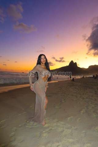 trans girl MEGANNXXL 7066274