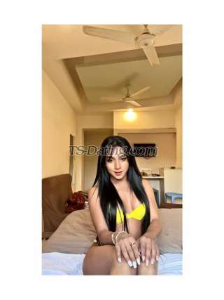 trans girl MISTYROY 8600705