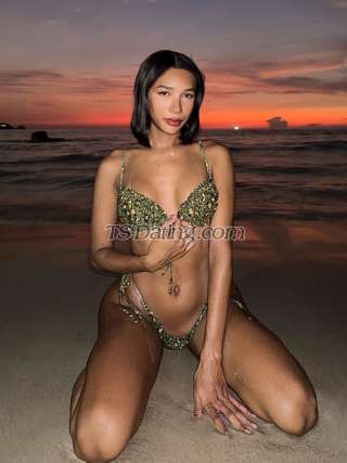 trans girl Madison2542 2603703