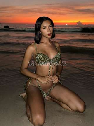 trans girl Madison2542 2603791