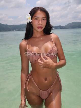 trans girl Madison2542 2604308