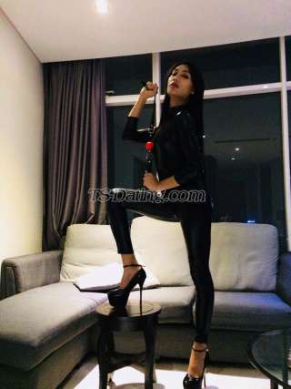 trans girl MadisonSy 6449072