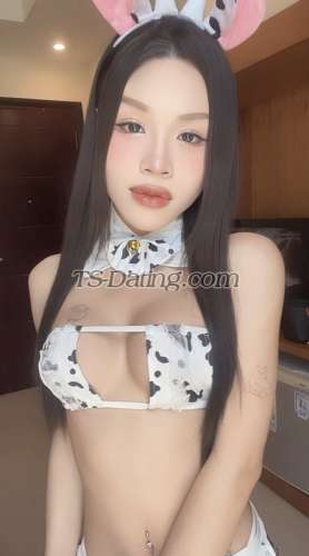 trans girl Mailinh134 6498284