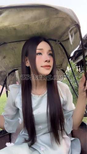 trans girl Mailinh134 7254665