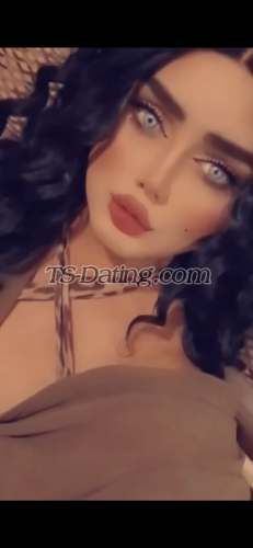 trans girl Malekaa 0595494 trans girl Malekaa 0595494