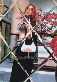 Malini nikita Delhi TS escort 