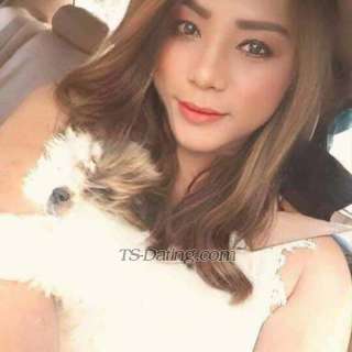 trans girl Manha 9786643