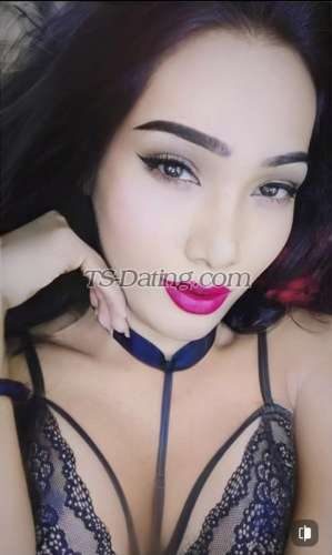 trans girl Mannt69 4184252