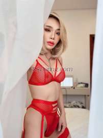 Mariya seeta Juffair Transex Hello I am a ladyboy from Thailand I have good service if
you need please contact meAdd telegram:YochayaAdd
WhatsApp number:+96893541140