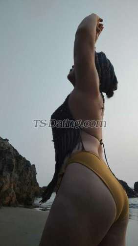 trans girl MassageOnly 7595497