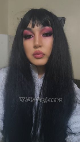 trans girl Mastershe 8459396 trans girl Mastershe 8459396