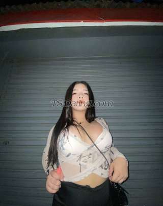 trans girl Mau96 6651146