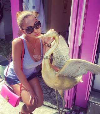 trans girl TransMEA 1029834