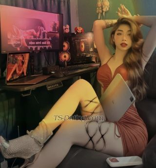 trans girl Meenailadyboy 1583974