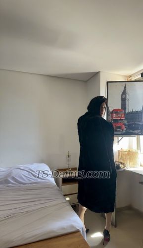 trans girl Mellbeli 9624223 trans girl Mellbeli 9624223