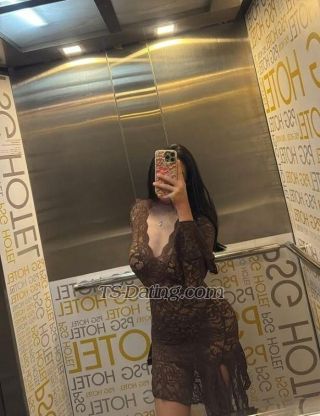 trans girl MemoCairo 6177873