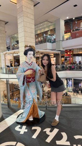 trans girl MeovvMeow 0183380 trans girl MeovvMeow 0183380