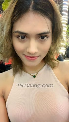 trans girl Michelle190 5354750