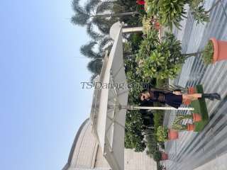 trans girl Michelle190 6175838