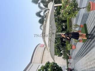 trans girl Michelle190 6202243