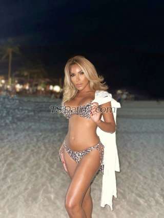 trans girl MichelleBang 7109758 trans girl MichelleBang 7109758