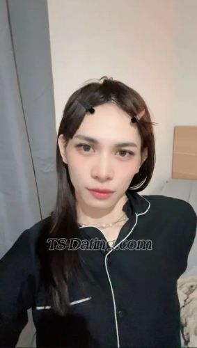 trans girl MichelleLee 6074565 trans girl MichelleLee 6074565