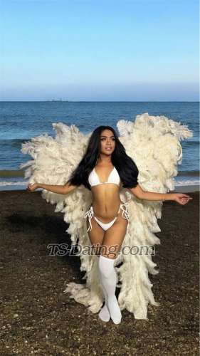 trans girl MicielaDaks 2068670