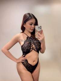 Mie Mie Istanbul Transex just arrived in Istanbul now limited days only
hi my name is miemie ( post op ) 
25 years old weight 55 kg height 173 cm
If you are looking ladyboy with pussy for a sexy, beautiful, big boobs and big ass ladyboy, have pussy can fuck anal and pussy i will make you cum a lot. you can choose me. i will provide the best and unforgettable service🥰 no rushing no drama.
my photos are 100% the same as the real life in fact many of my customers say they are prettier in real life
for those who are serious and want to try with me, don't ask for many questions, don't ask for photos because the photos have already been posted here, i don't accept schedules for longday.
