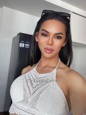 Milathaits Orchard Transex Hello 🙏Sawadee Ka 🙏Visiting Singapore 🇸🇬
for 3days. (Orchard area)Please contact me on
what's app only +41762779309My name is Nira
Thai🇹🇭. a 25 years of age with 173cm tall. 63kg
weight  7.5 inches top 🍆and bottom 🍑and I am
💯%realI'm A beautiful and sexy Thai  Ladyboy.
I'm feminine, sexy as fuck, sassy, hot and very
slutty.I'm educated, funny, confident and always
willing to please my men.If you're looking to
relax and forge the world then come spend some quality time
with me. I love pleasing and I especially love when someone
pleases me. Suck and stroke my cock. Please worship my cock.
It's such a turn on to see a man praise my hard cock and
worship it.Come enjoy a good time with me and something
more with a passionate, sensitive warm hot sexy fun
experience please contact me.please text or call
to book in advance 👄👄Never try never know.
👄👄 👍 —-Service—👍✅-Top
🍆& Bottom🍑✅-Blowjob👄✅-Anal sex and
Play🍑✅-All photos 100000% real👍✅-My cock
Big long story hard🍆✅-Sexy and
activities 🔥✅-Kissing 😘✅-massage💆�
�♂️ *all safe ❌*no extra nude picd
send.❌*I have clear face and body pictures on my
profile ❌*DON'T HESITATE TO CALL OR TEXT
ME ❌*ONLY GENUINE CUSTOMERS ARE
WELCOME.❌*PLEASE TREAT ME WITH
RESPECTS!!❌ 🥹*Looking forward to see you
guys soon😍😍😜😜 Please contact me on
what's app only +41762779309
